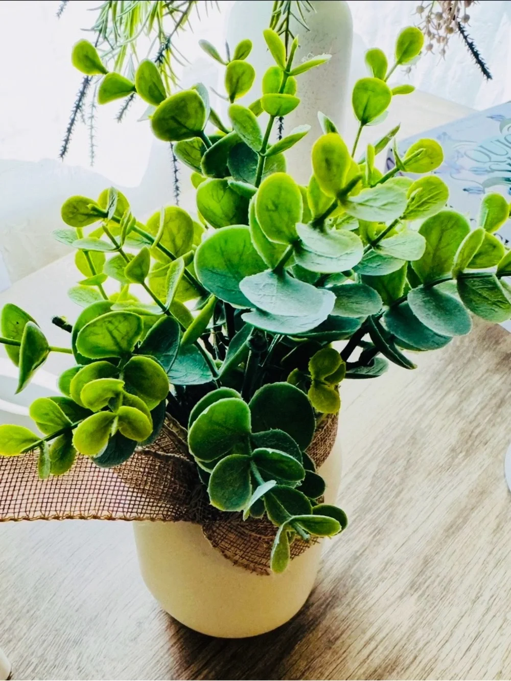 Don’t Buy Please! Thank You! Green Faux Eucalyptus Plant in Cream Ceramic Pot